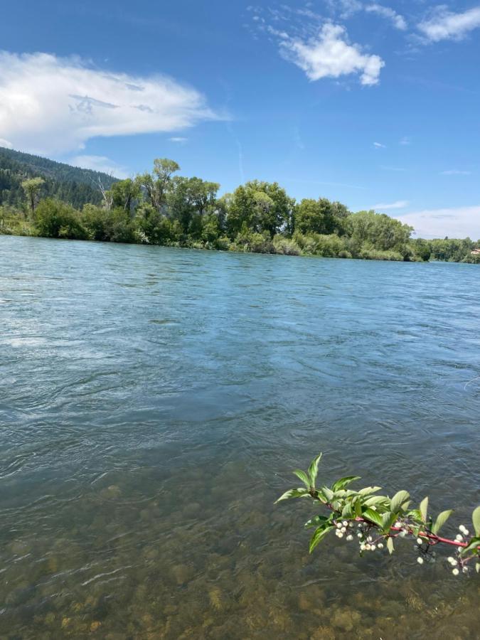 Snake River Glamping Irwin Extérieur photo